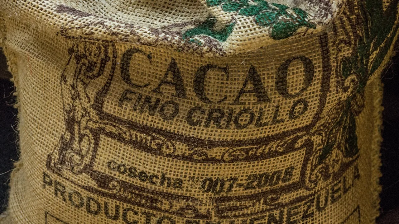 cocoa, bag, chocolate, beans, venezuela, sweets, candy, brown candy, brown chocolate, cocoa, venezuela, venezuela, venezuela, venezuela, venezuela. Bilingual food label rules for packaged specialty foods sold in Canada