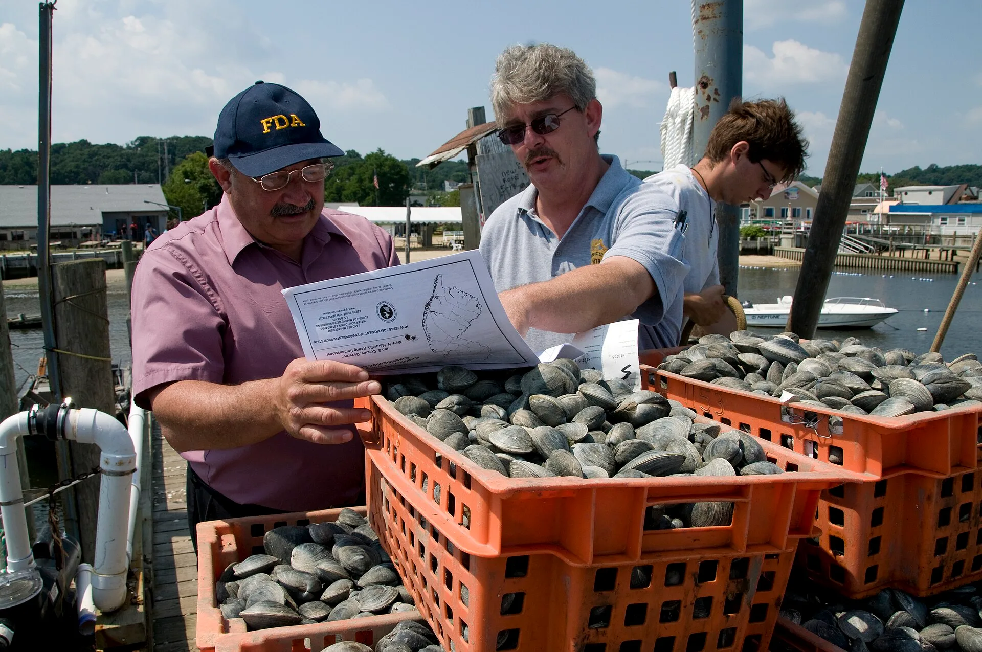 Aug. 4, 2009 – An FDA shellfish specialist (left) and a New Jersey state inspector look at a map of the waters where the clams in the foreground were harvested. The risks associated with eating raw or partially cooked shellfish are often related to the quality of water from which they are harvested. Specialty food quality control: audits for owners