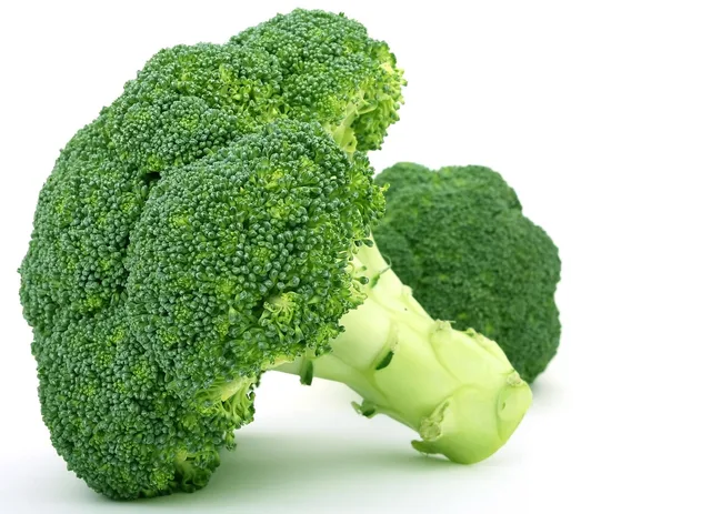 broccoli, vegetable, food, green vegetable, produce, organic, natural, healthy, nutrition, ingredient, raw, broccoli, broccoli, broccoli, broccoli, broccoli. Specialty food certification for packaged foods: three marks