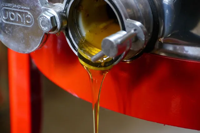 honey, food, production of food, cute, healthy, natural, bio, golden, yummy, meal, nourishment, honey, honey, honey, honey, honey. Bookkeeping for a specialty food business: enough to stay in control