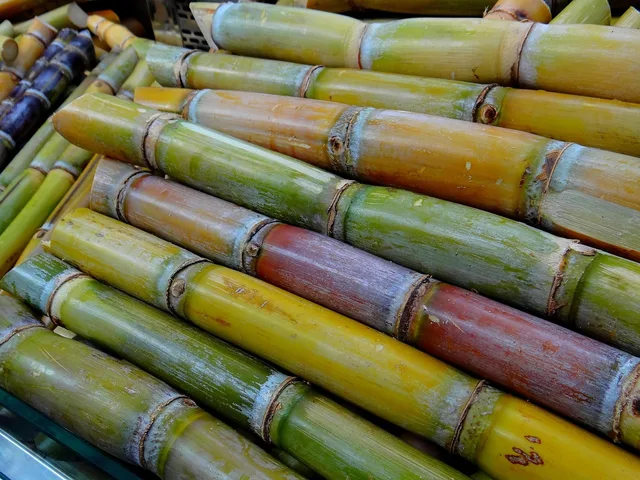 sugar cane, sweetgrass, luxury items, sugar cane harvest, sugar production, food, sugar cane, sugar cane, sugar cane, sugar cane, sugar cane. Specialty food profit margin: a break-even framework