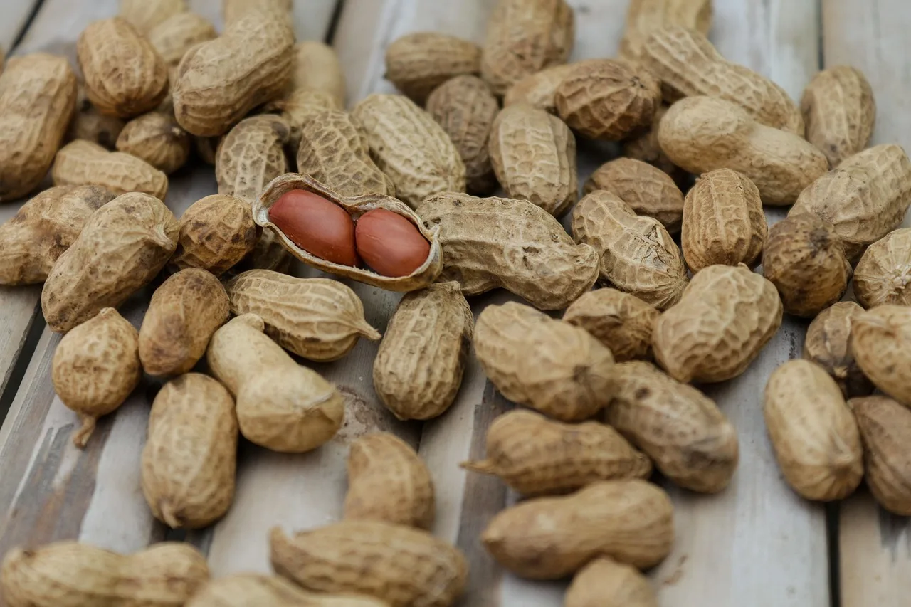 peanuts, nuts, food, diet, macro, nutrition, nutshell, pod, protein, shell, snack, peanuts, peanuts, peanuts, peanuts, peanuts, nuts, nuts. Specialty food recall insurance: coverage, exclusions, and real costs