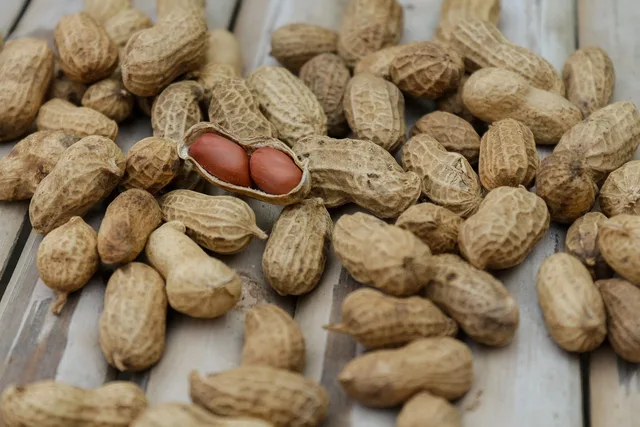 peanuts, nuts, food, diet, macro, nutrition, nutshell, pod, protein, shell, snack, peanuts, peanuts, peanuts, peanuts, peanuts, nuts, nuts. Specialty food recall insurance: coverage, exclusions, and real costs
