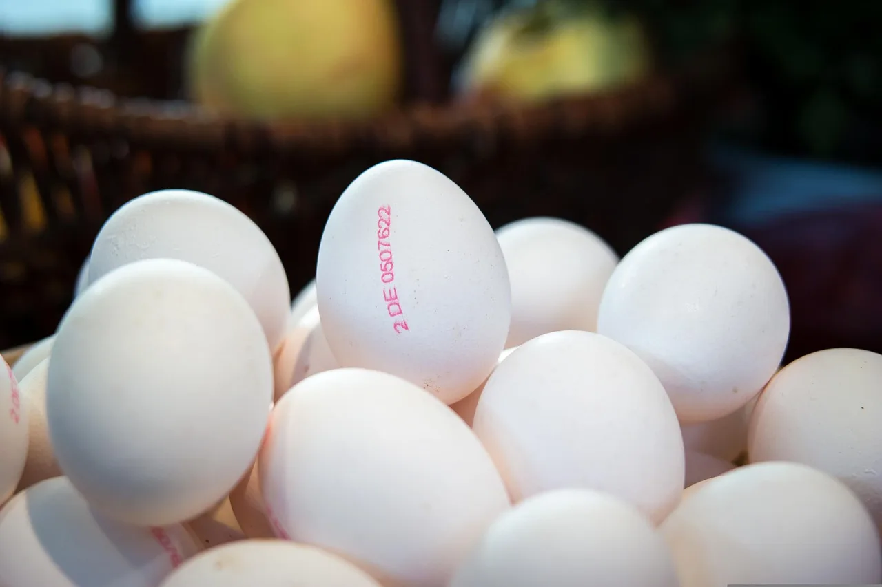 eggs, chicken eggs, production, fall, harvest, food. Specialty food software vs spreadsheets: what a new US owner actually needs
