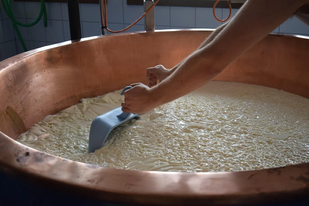 cheese, manufacturing, milk. Inventory counts, checked weekly and compared against the monthly reconciliation